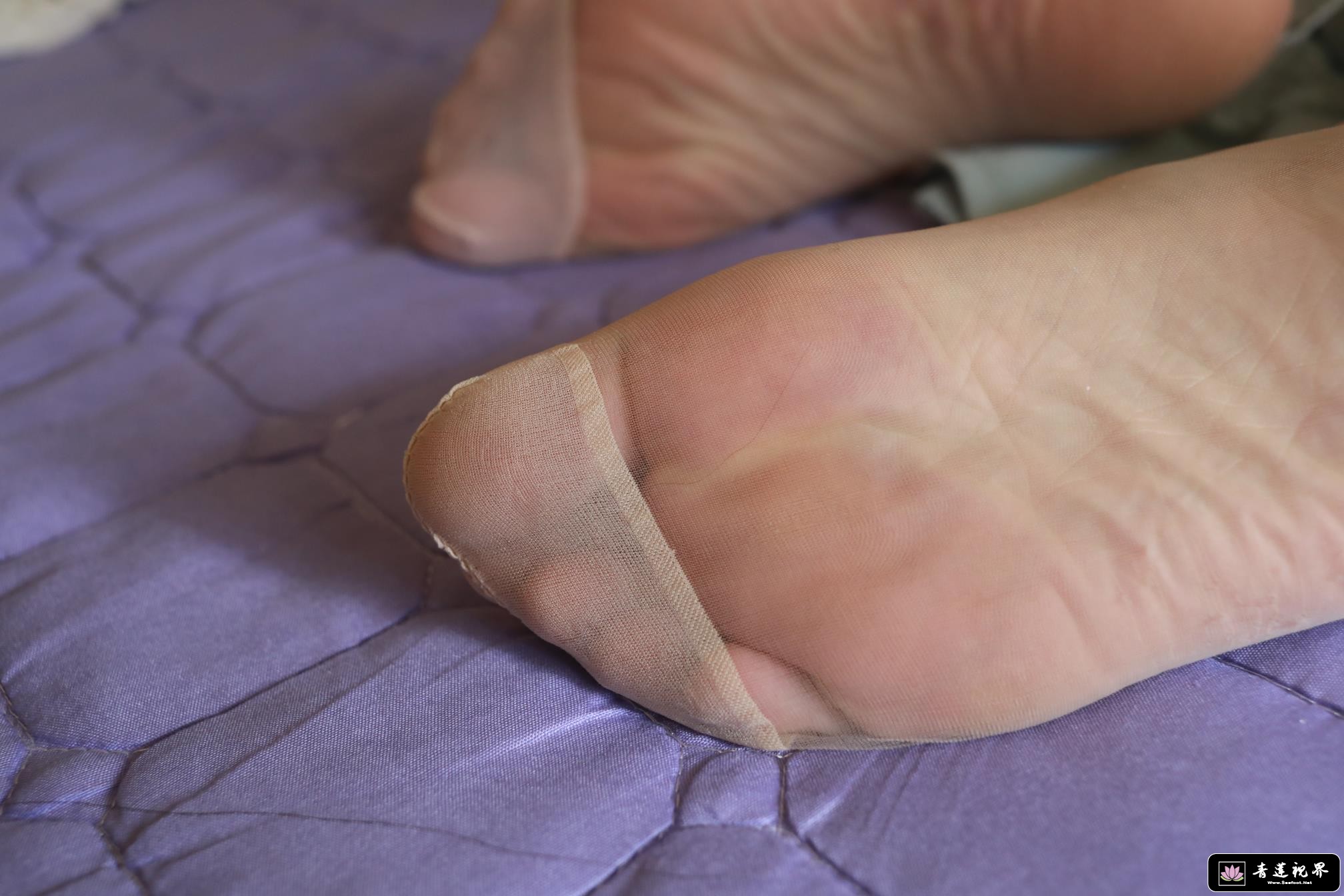 SING9180 - ����.JPG