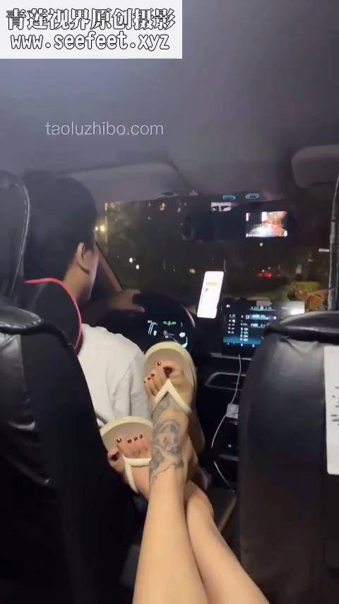 vid (2)[00_02_45][20250403-154632].jpg