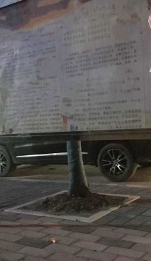 ��ԭ��Ͷ�塿Ů������ѧУ�ܻ���[9P]