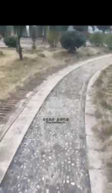 �������ڻ�������ɹ�������λ·�� ����ʵԭζ