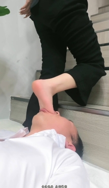 ��ʫ�������Ʒ����С������ר��