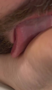 ˫��ʮֻ������˹���˱����ʳ��������˫���㴿���ϼ�