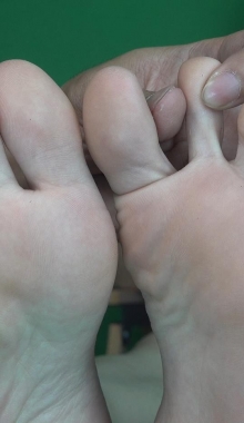 ���Ϲ����ա��������ٺ������ԸеĽ�Ѿ������������������ţ��ۻ����󣬴���������