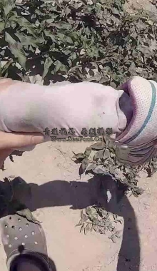 ��SleepyFeet��������̵�Ů���� �����˶�Ь�������������