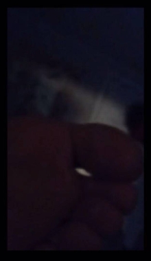 ŷ�������С����˯�ſ����۽�