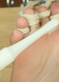 ������ԭ������������-��Ŀ��ԭ������ӽ���[����/51����]