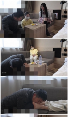 ����5���͵��Ů���� ���ѻ����Ժ�4ֻ����һ����