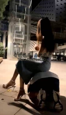 ��ʫ��˫����ǰ���ѻ�����󸴺�������