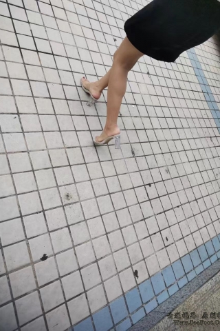 ��ԭ��Ͷ�塿�����ߵ��ģ���ͷ�����ģ�[9P]