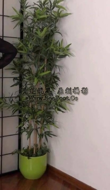 ����Ʒ���ŵ���λ�ٸ����˷���ǿ������4ֻ���㣡