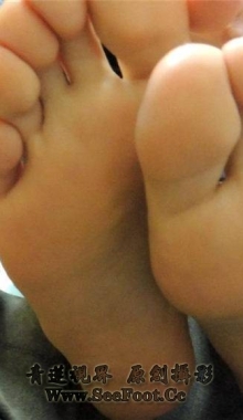 �����׵�ϵ�С�������ʦ���ű�����