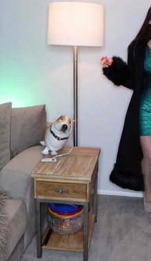 ��VIP���/������������ߵĳ��ȳ�������