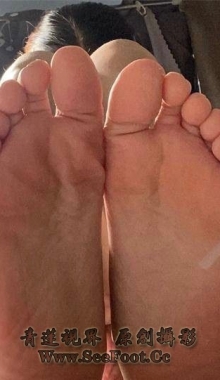 ����ģ���ԡ���ѧ�ñ����ƣ�����ͬ��ڰ˲�