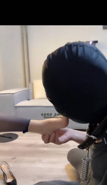 ��Lel����˿����2V��AI����ԭ��Ƶ��