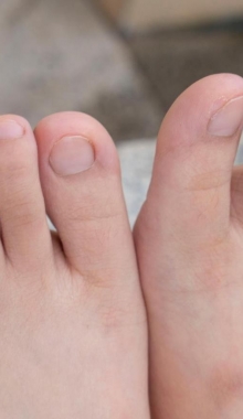 ��Xy��Ӱ������԰ϵ�У���ѧ������������������������������һ������˿+�����ջ�