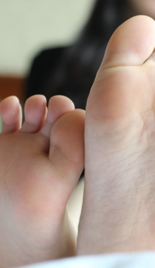 ��VIP���/���������������°������������㣨¶����