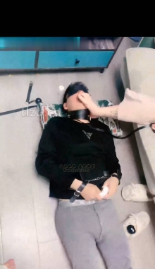 ��TLzb������4VС�ϼ���29��