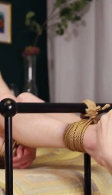 ���������㡿�����Ů�����������½�ֺ