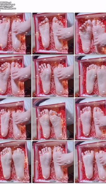 ����С����5-��������