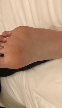 Լ��99���赸��ʦ���»�ɫ�������㡾51P+1V 503M ��